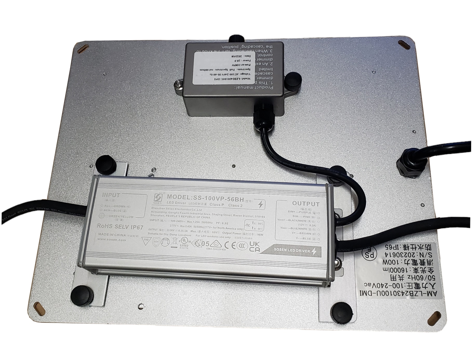 CRYSTAL SPORE LED-100 | 植物育成灯,CRYSTAL SPORE | Tree people